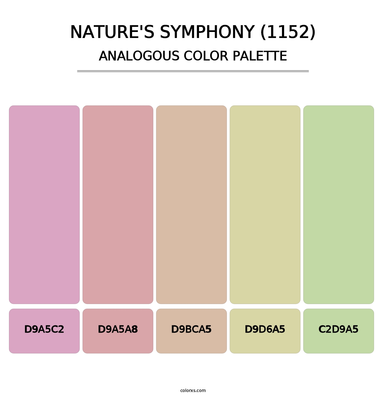 Nature's Symphony (1152) - Analogous Color Palette