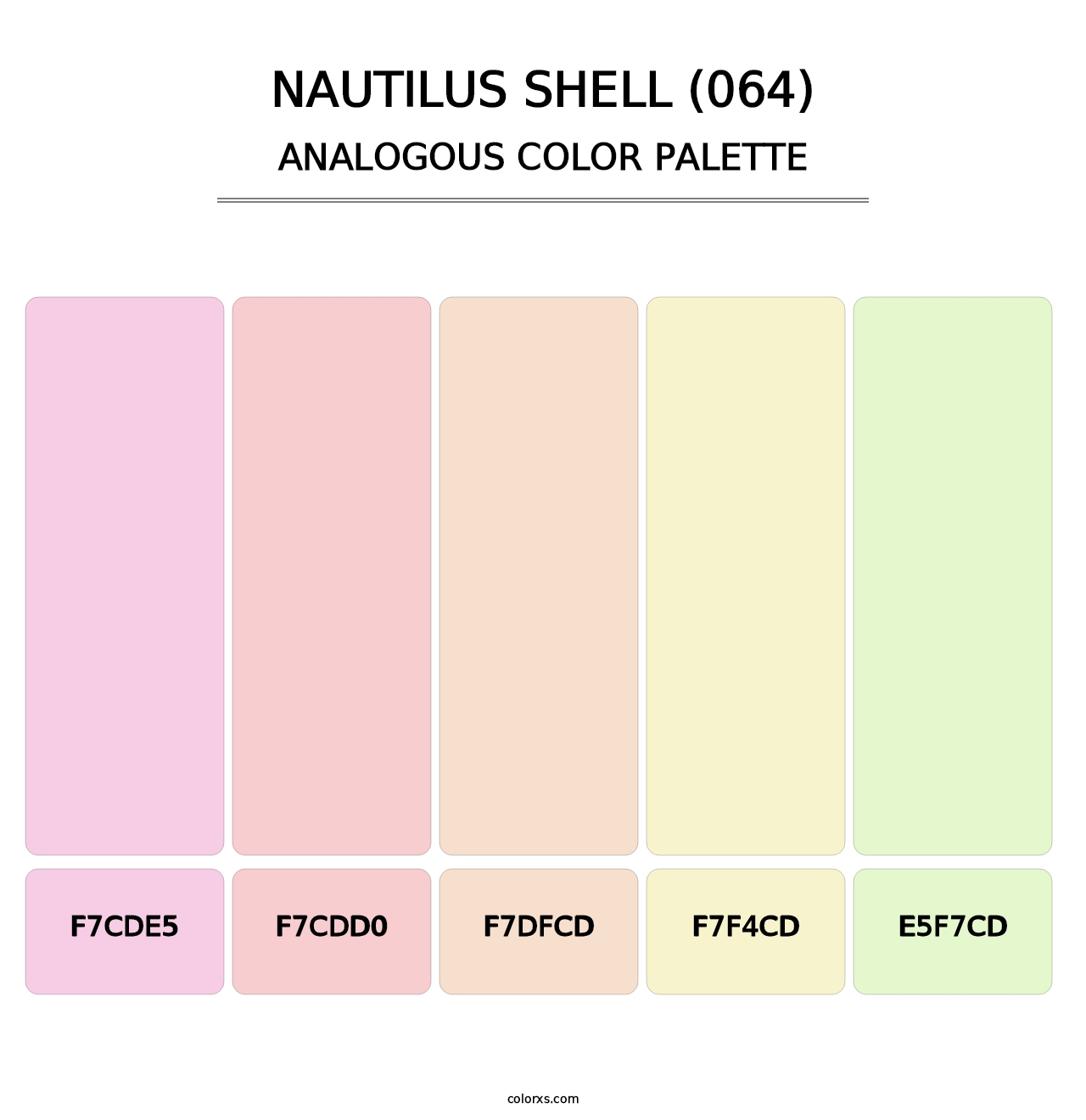 Nautilus Shell (064) - Analogous Color Palette