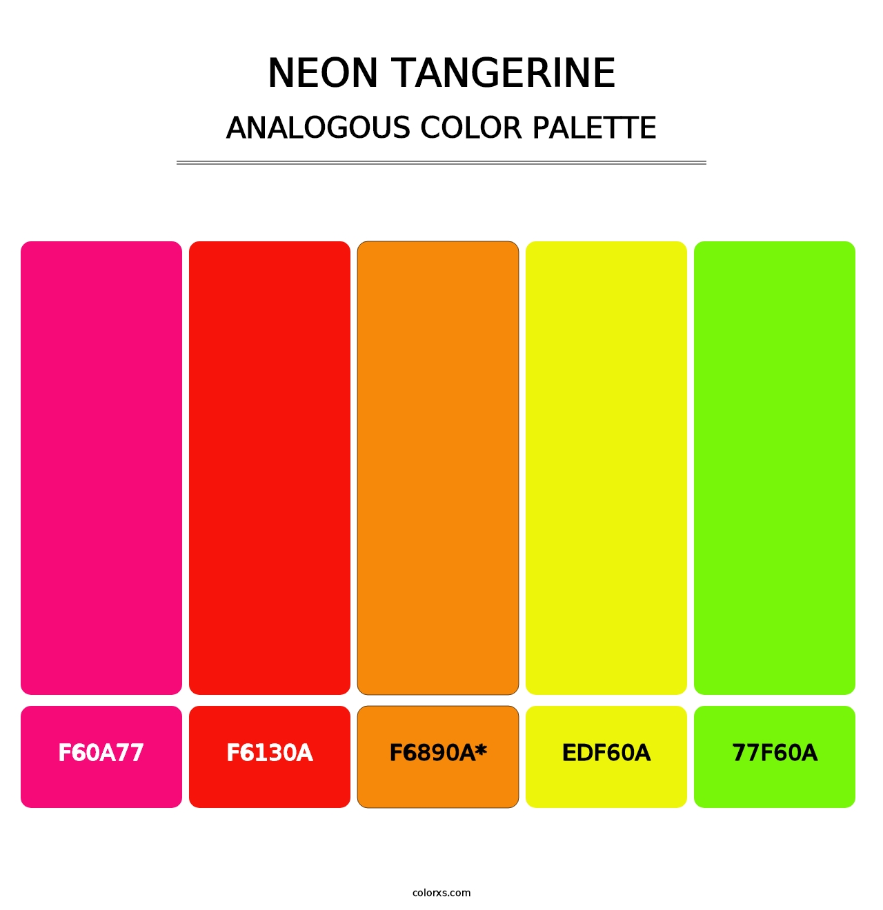 Neon Tangerine - Analogous Color Palette