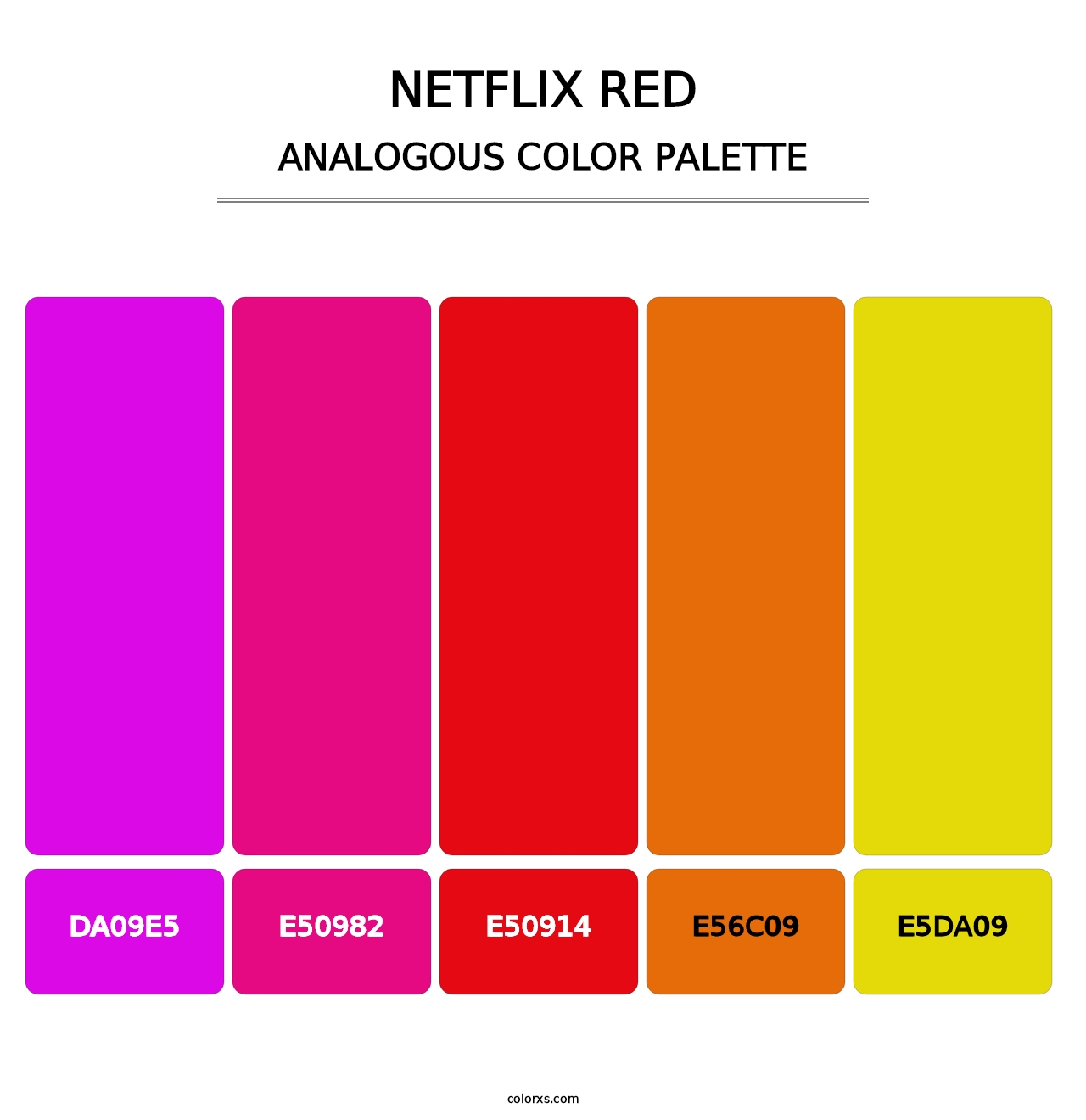 Netflix Red - Analogous Color Palette