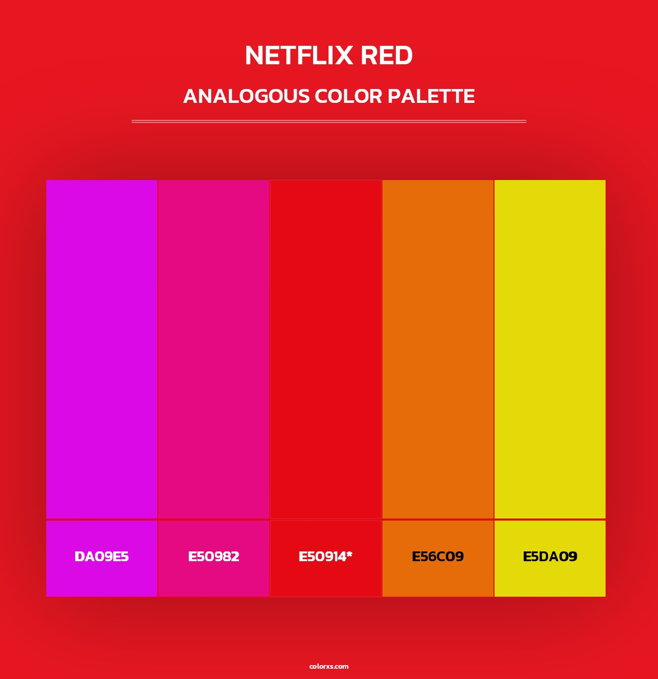 Netflix Red - Analogous Color Palette