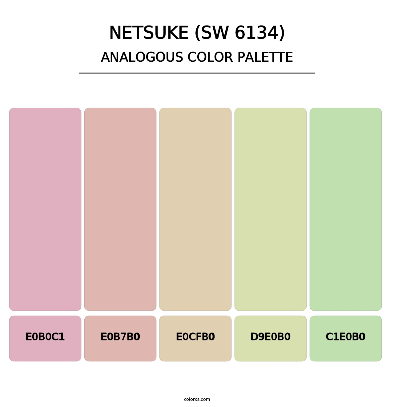 Netsuke (SW 6134) - Analogous Color Palette