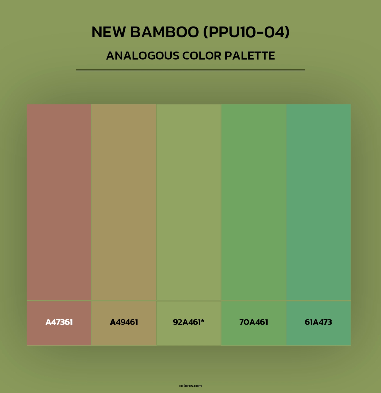 New Bamboo (PPU10-04) - Analogous Color Palette