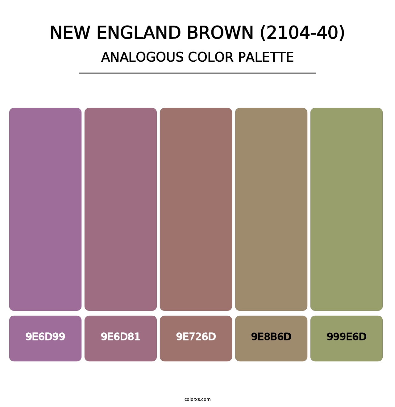 New England Brown (2104-40) - Analogous Color Palette