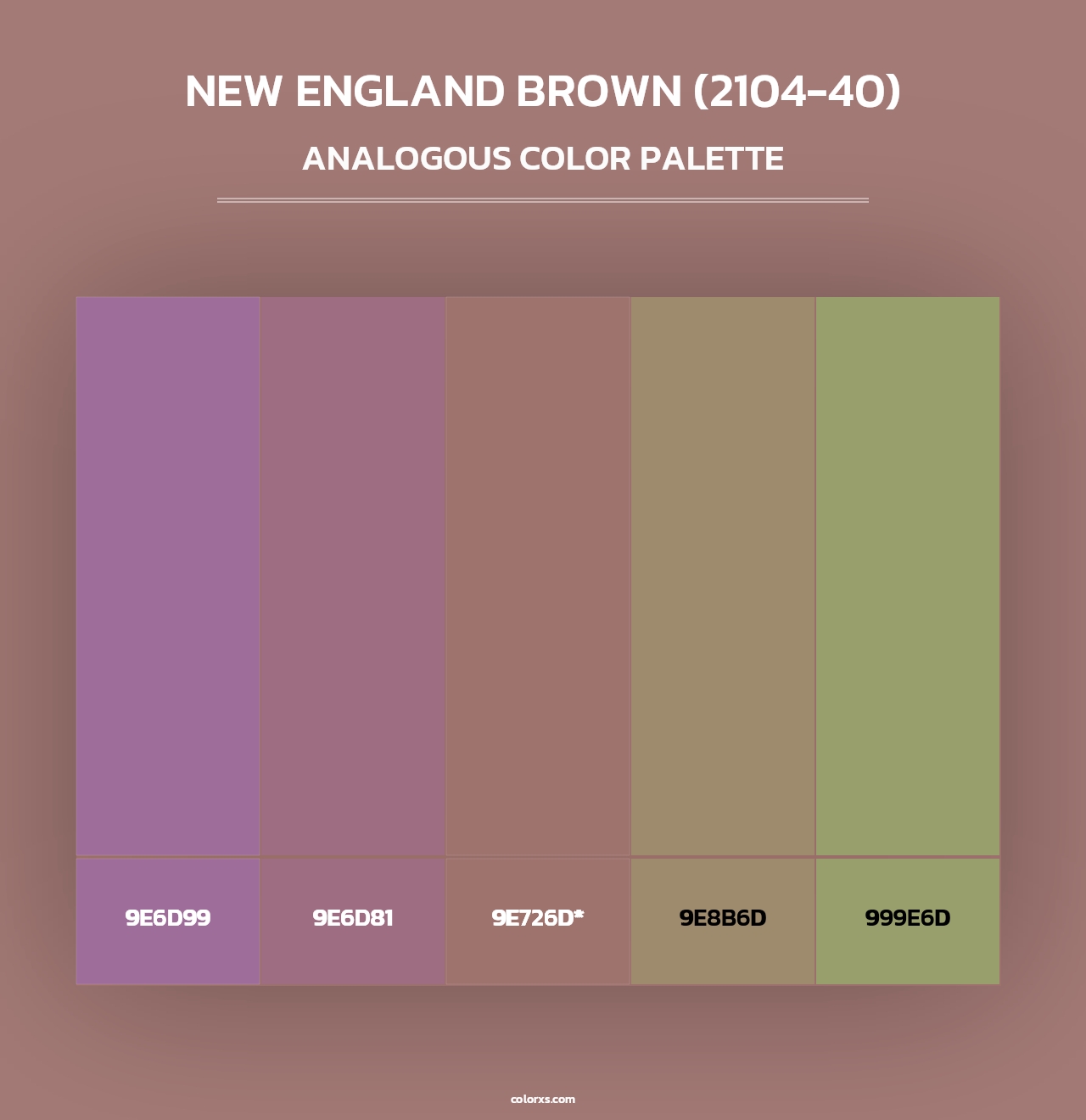 New England Brown (2104-40) - Analogous Color Palette