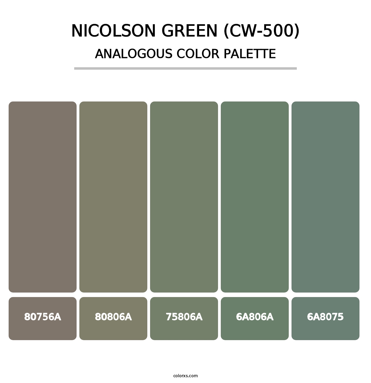Nicolson Green (CW-500) - Analogous Color Palette