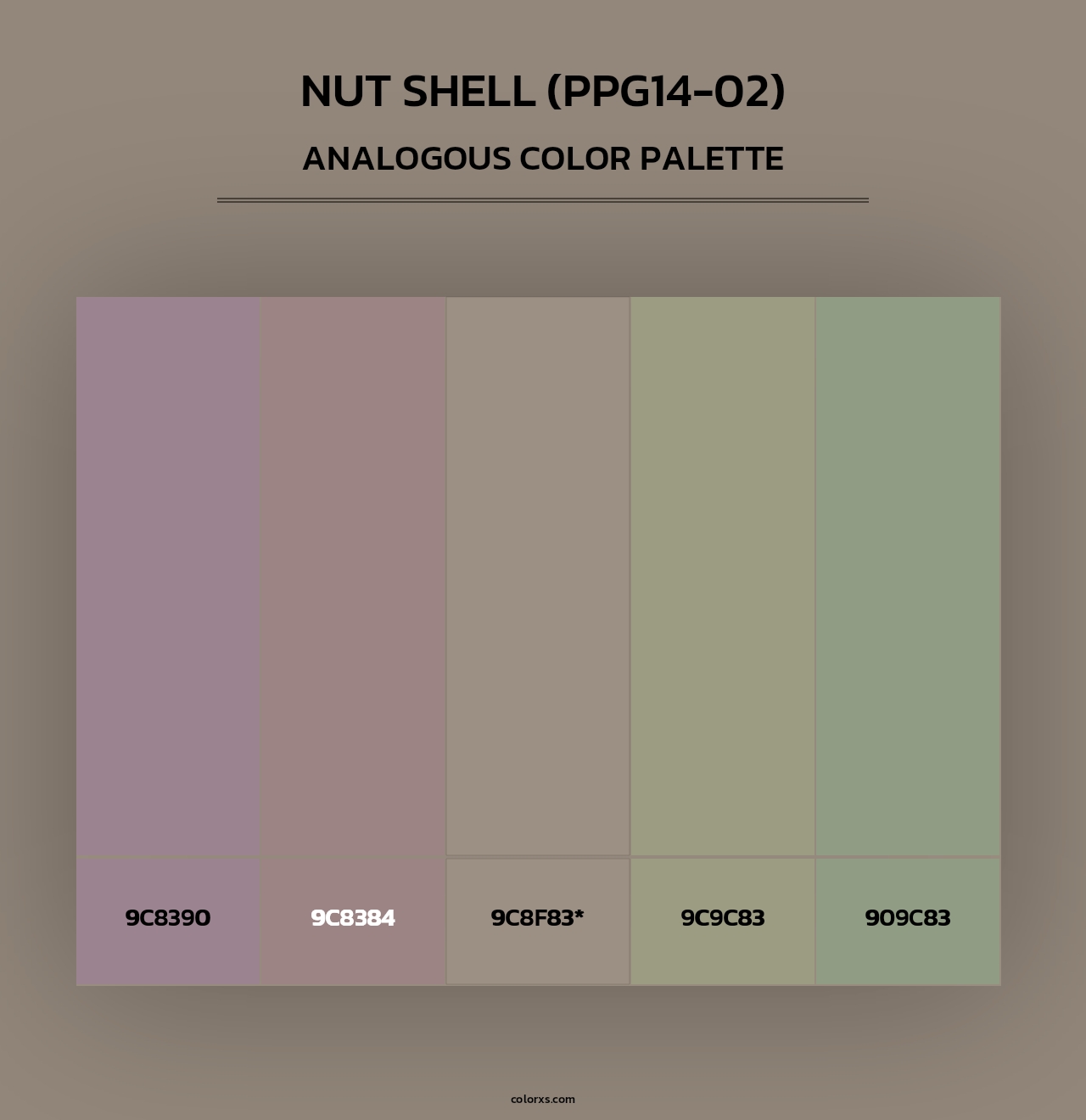 Nut Shell (PPG14-02) - Analogous Color Palette