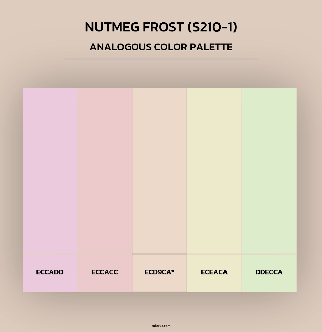 Nutmeg Frost (S210-1) - Analogous Color Palette