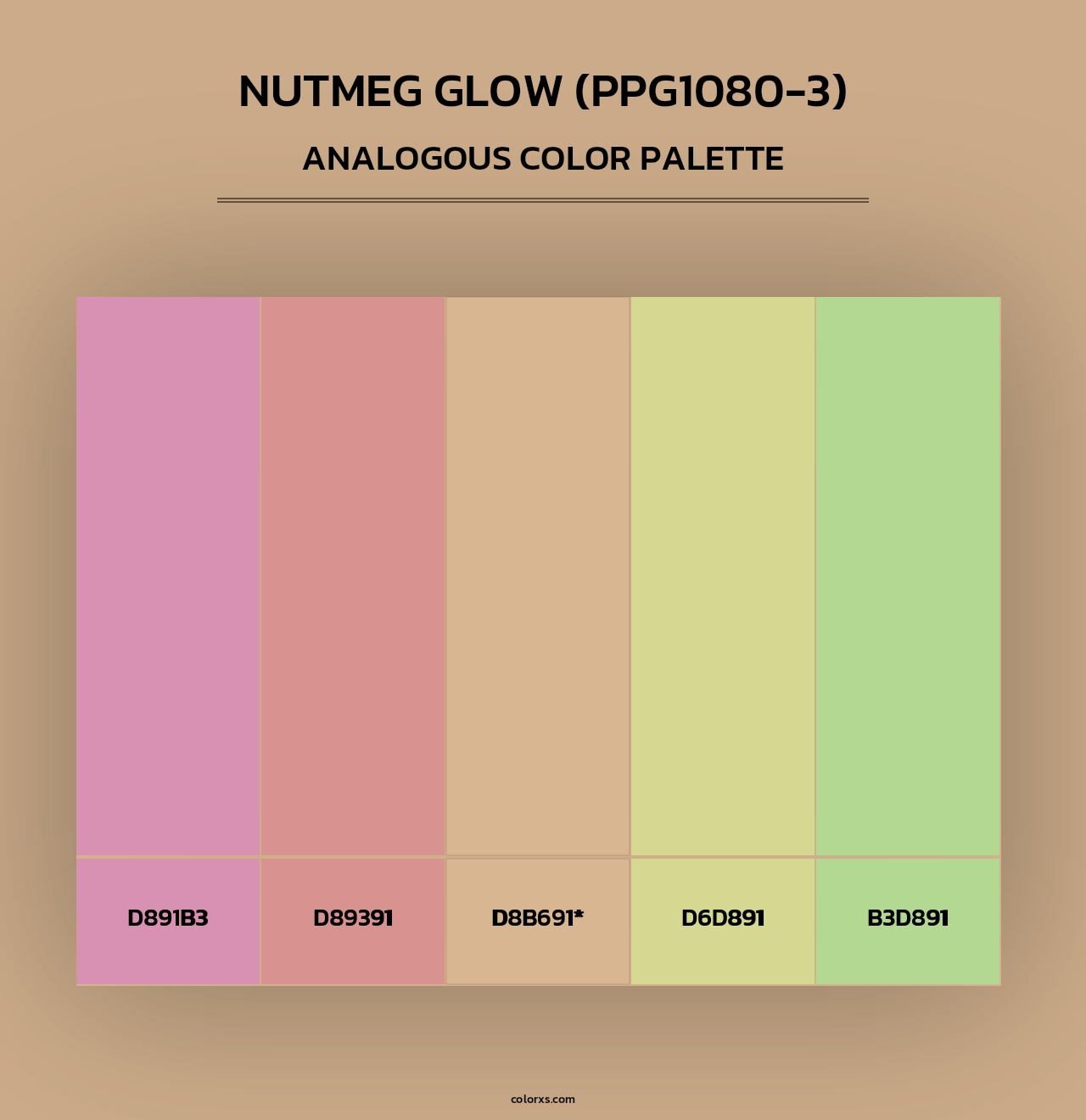 Nutmeg Glow (PPG1080-3) - Analogous Color Palette