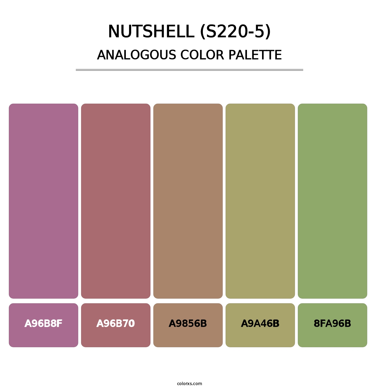 Nutshell (S220-5) - Analogous Color Palette