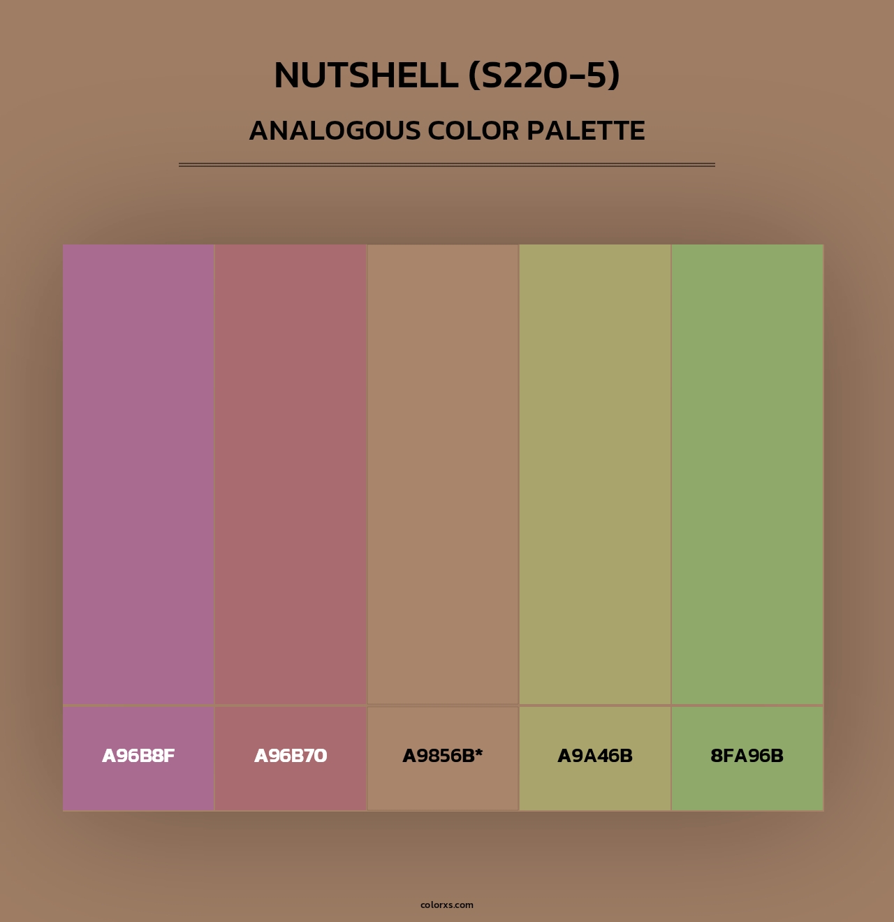 Nutshell (S220-5) - Analogous Color Palette