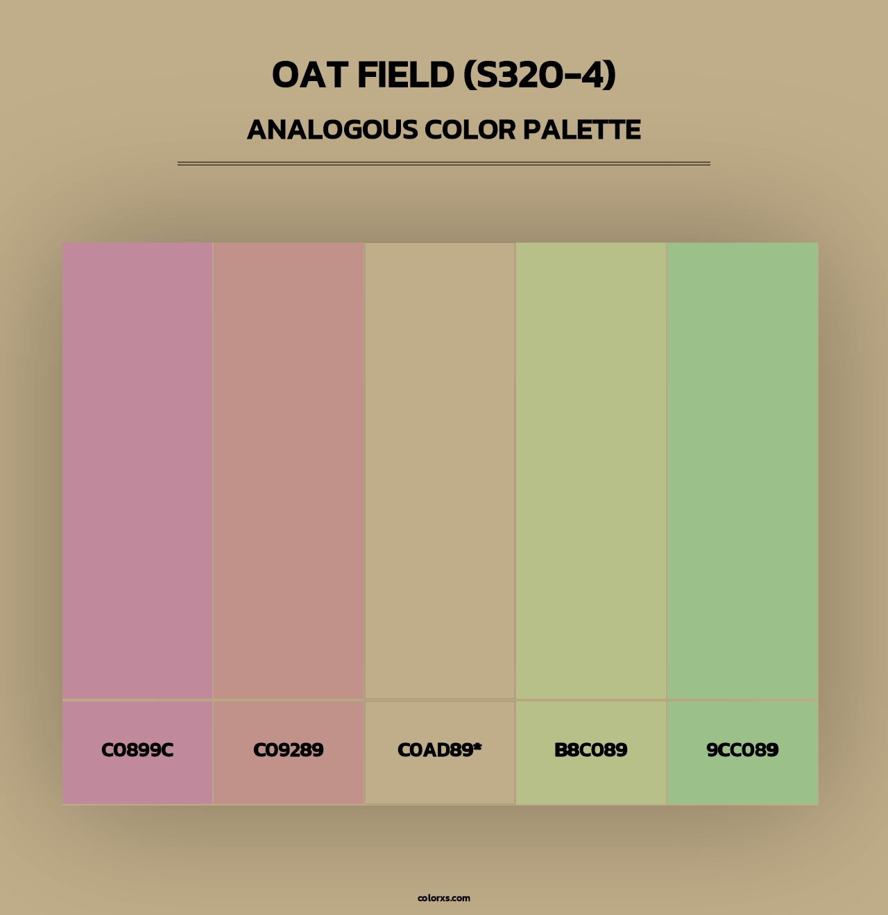 Oat Field (S320-4) - Analogous Color Palette
