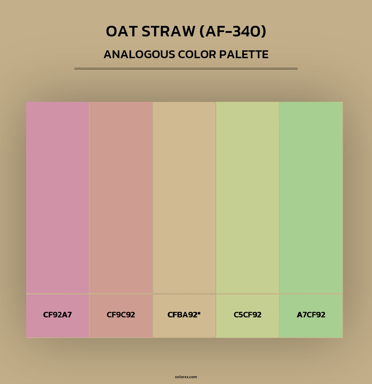 Oat Straw (AF-340) - Analogous Color Palette