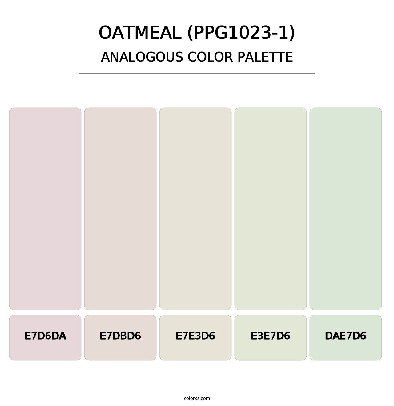 Oatmeal (PPG1023-1) - Analogous Color Palette