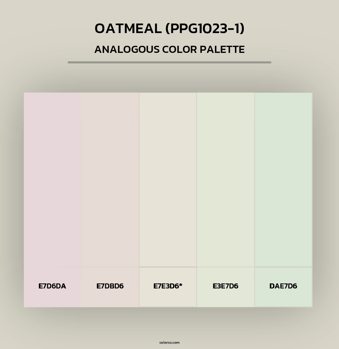 Oatmeal (PPG1023-1) - Analogous Color Palette