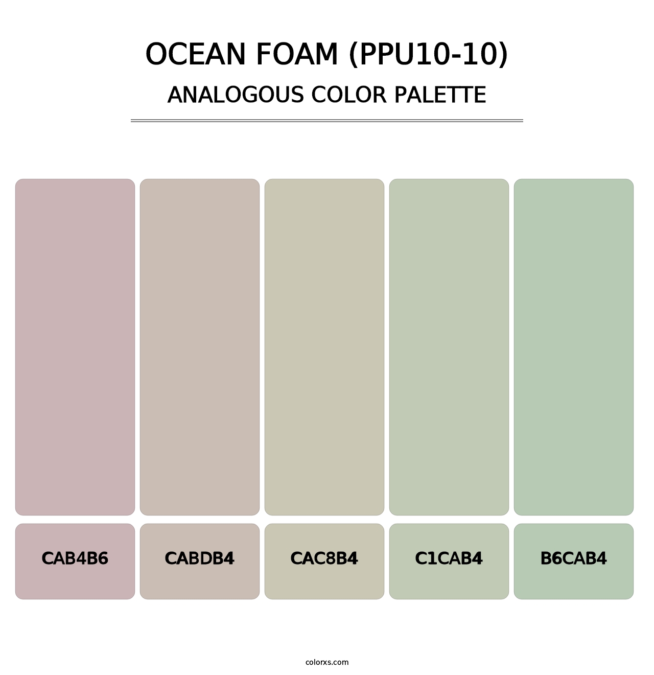 Ocean Foam (PPU10-10) - Analogous Color Palette
