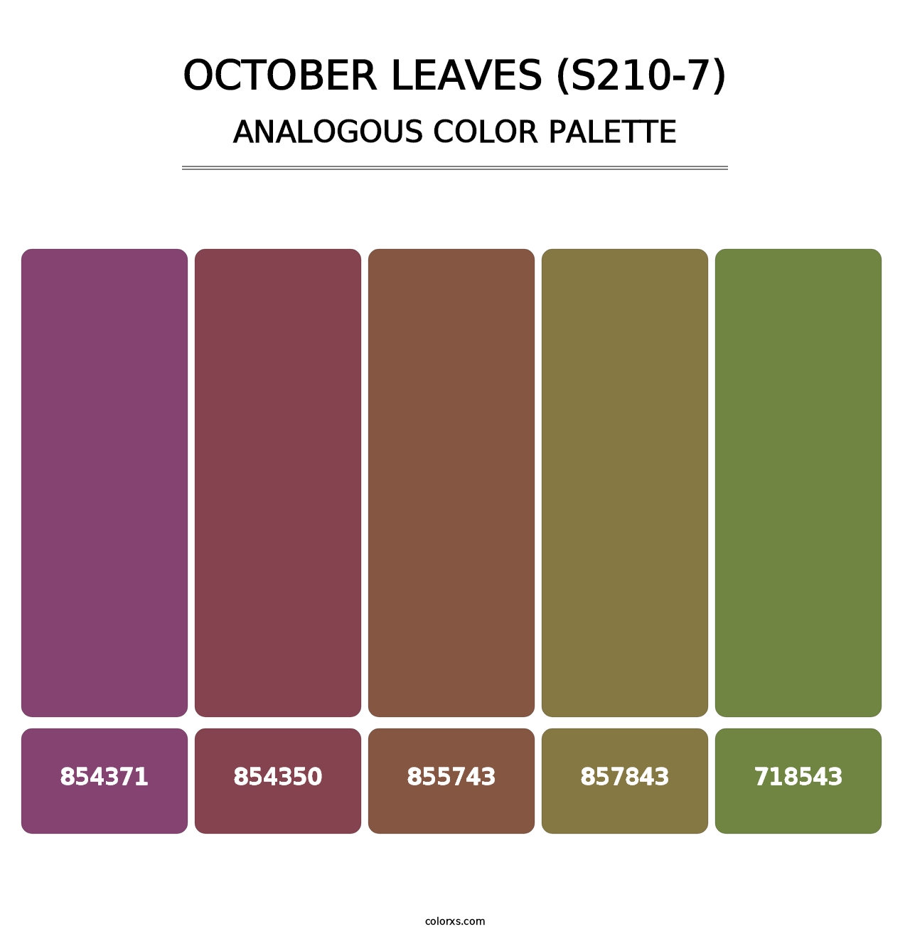 October Leaves (S210-7) - Analogous Color Palette