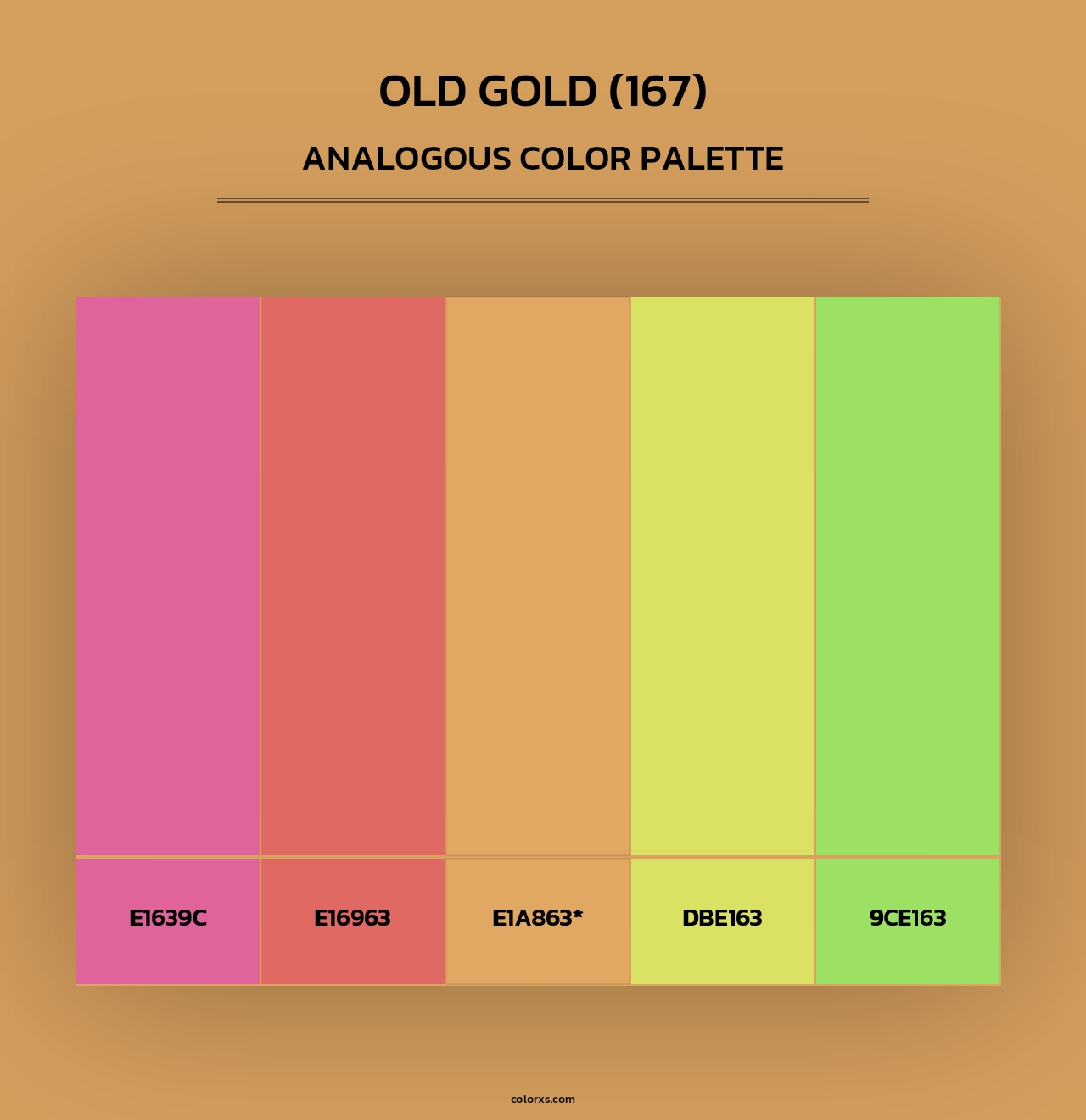 Old Gold (167) - Analogous Color Palette