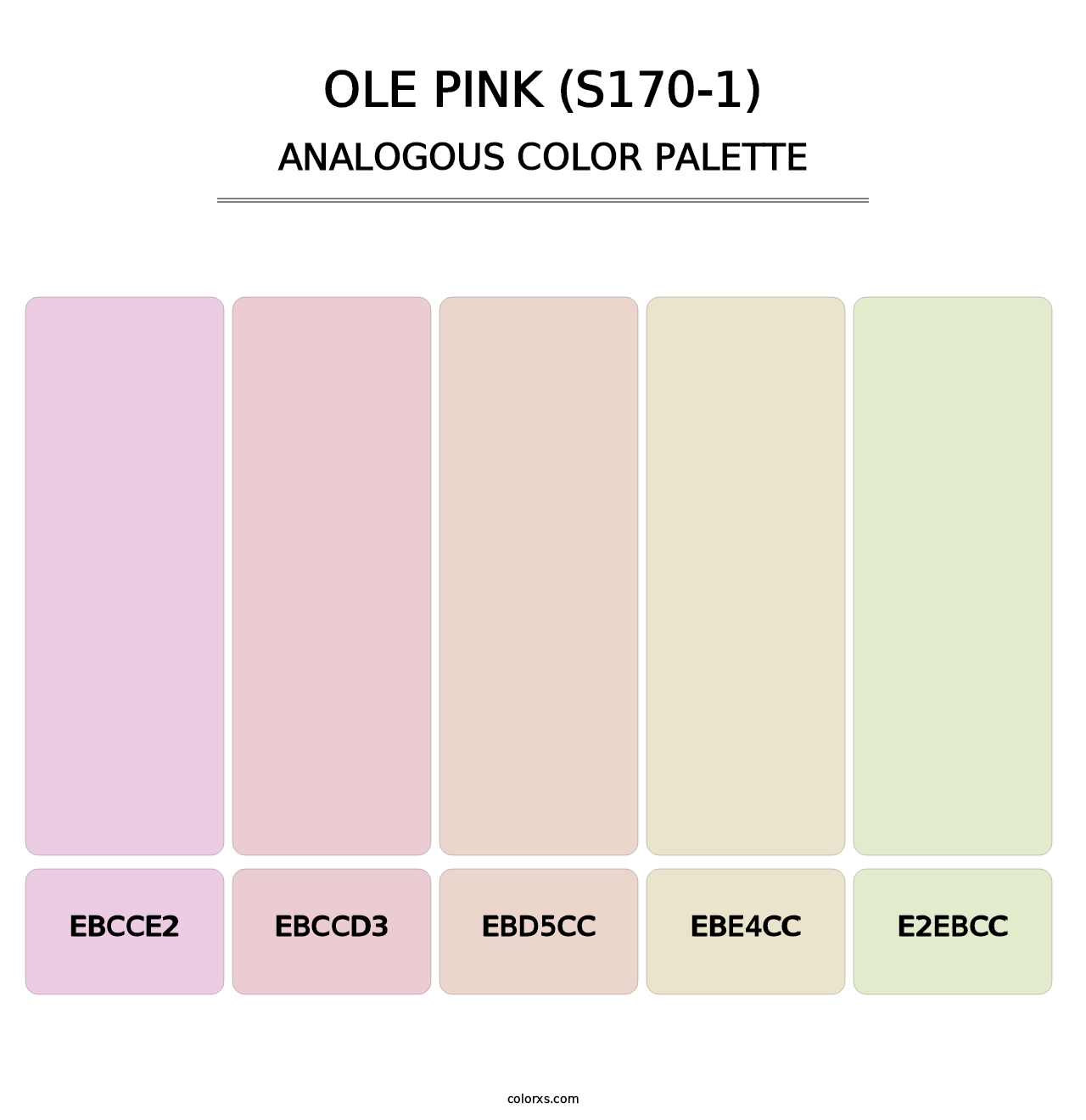 Ole Pink (S170-1) - Analogous Color Palette