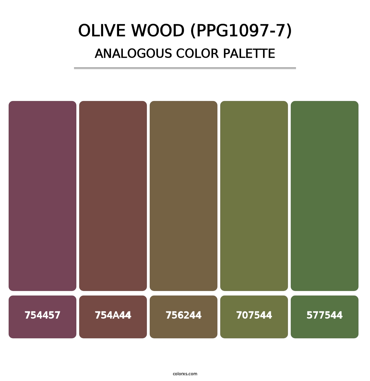 Olive Wood (PPG1097-7) - Analogous Color Palette
