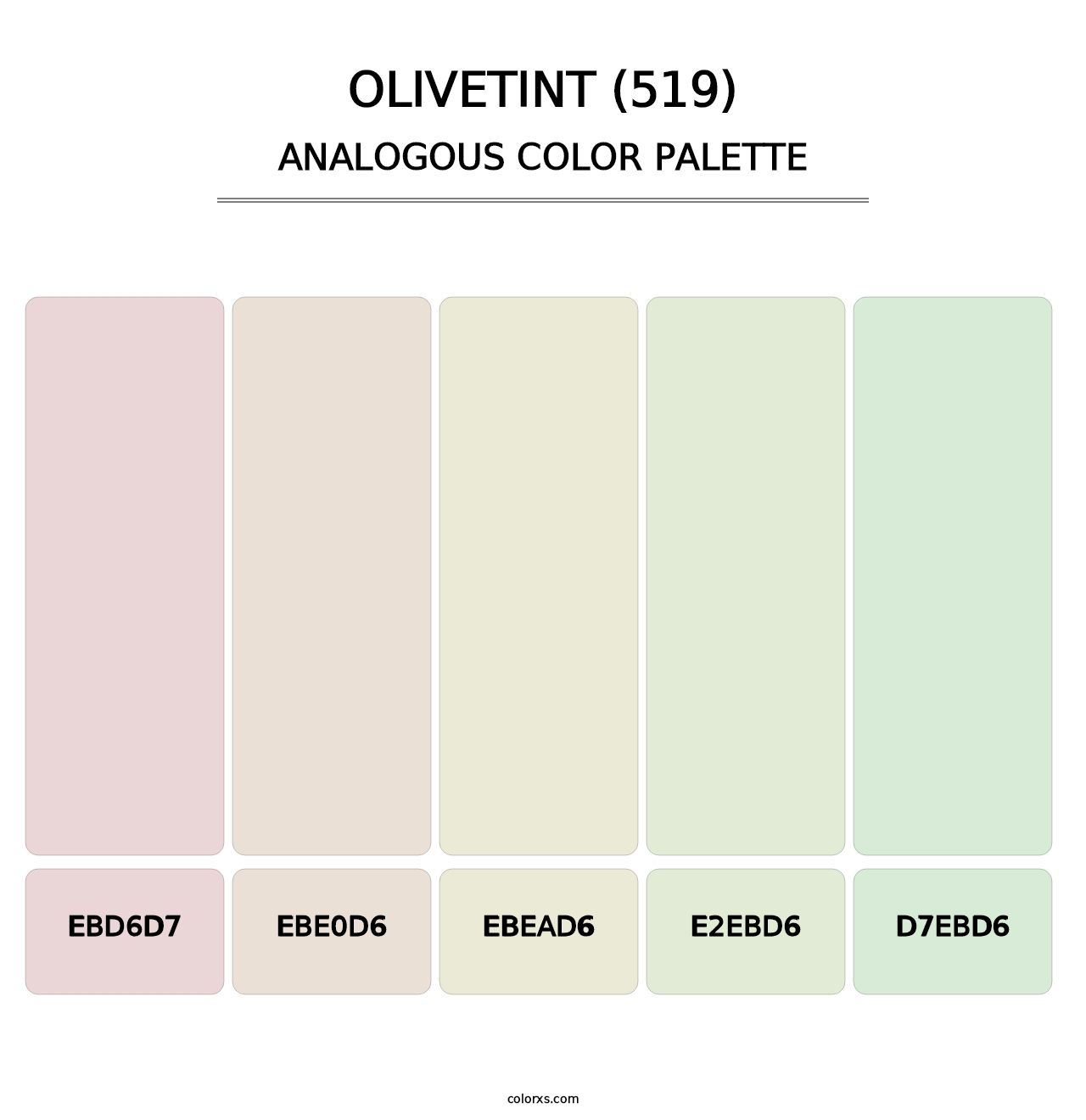 Olivetint (519) - Analogous Color Palette