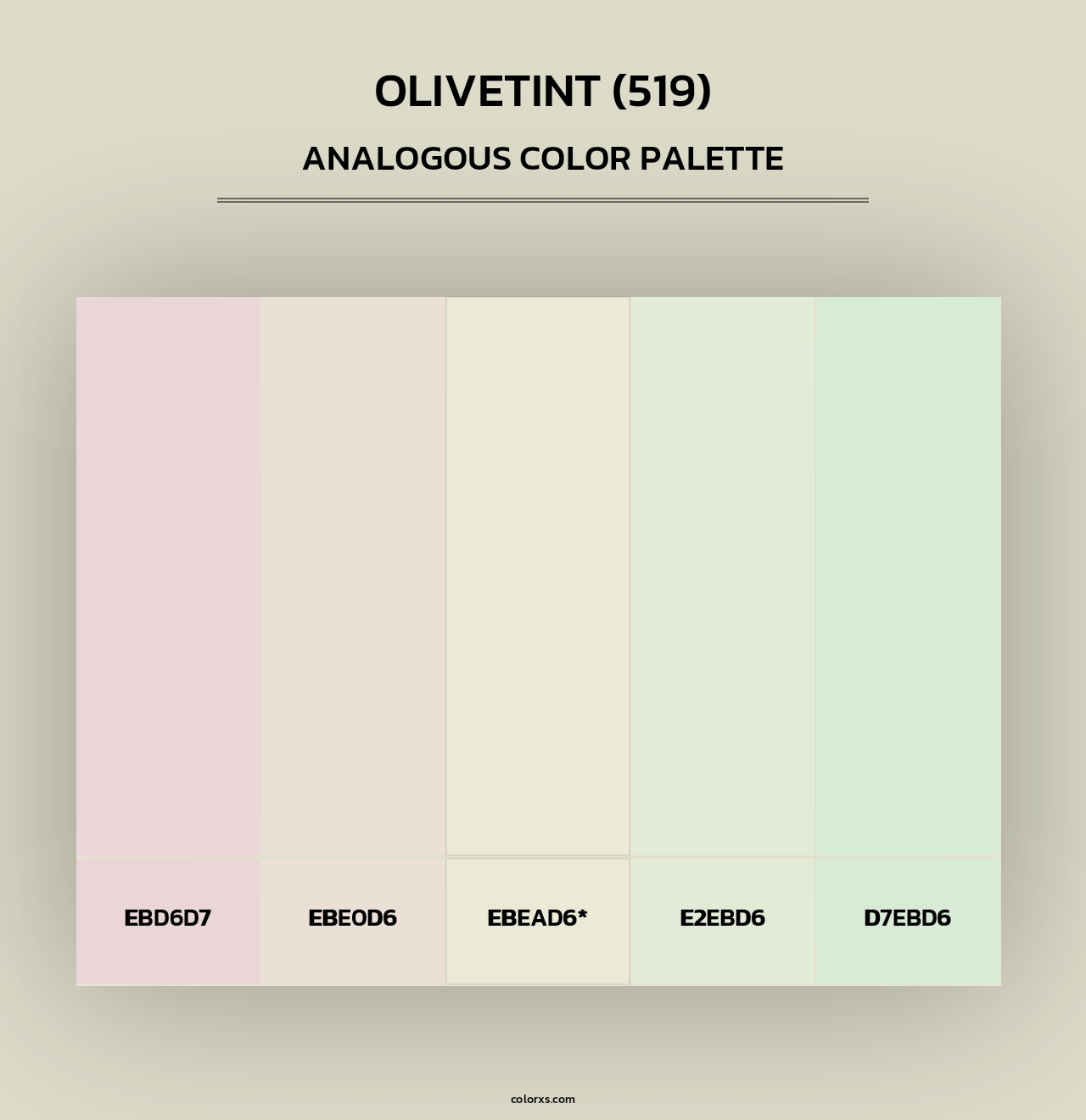 Olivetint (519) - Analogous Color Palette