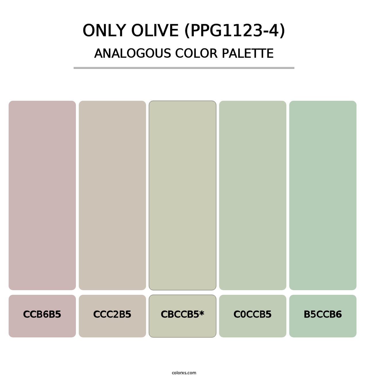 Only Olive (PPG1123-4) - Analogous Color Palette