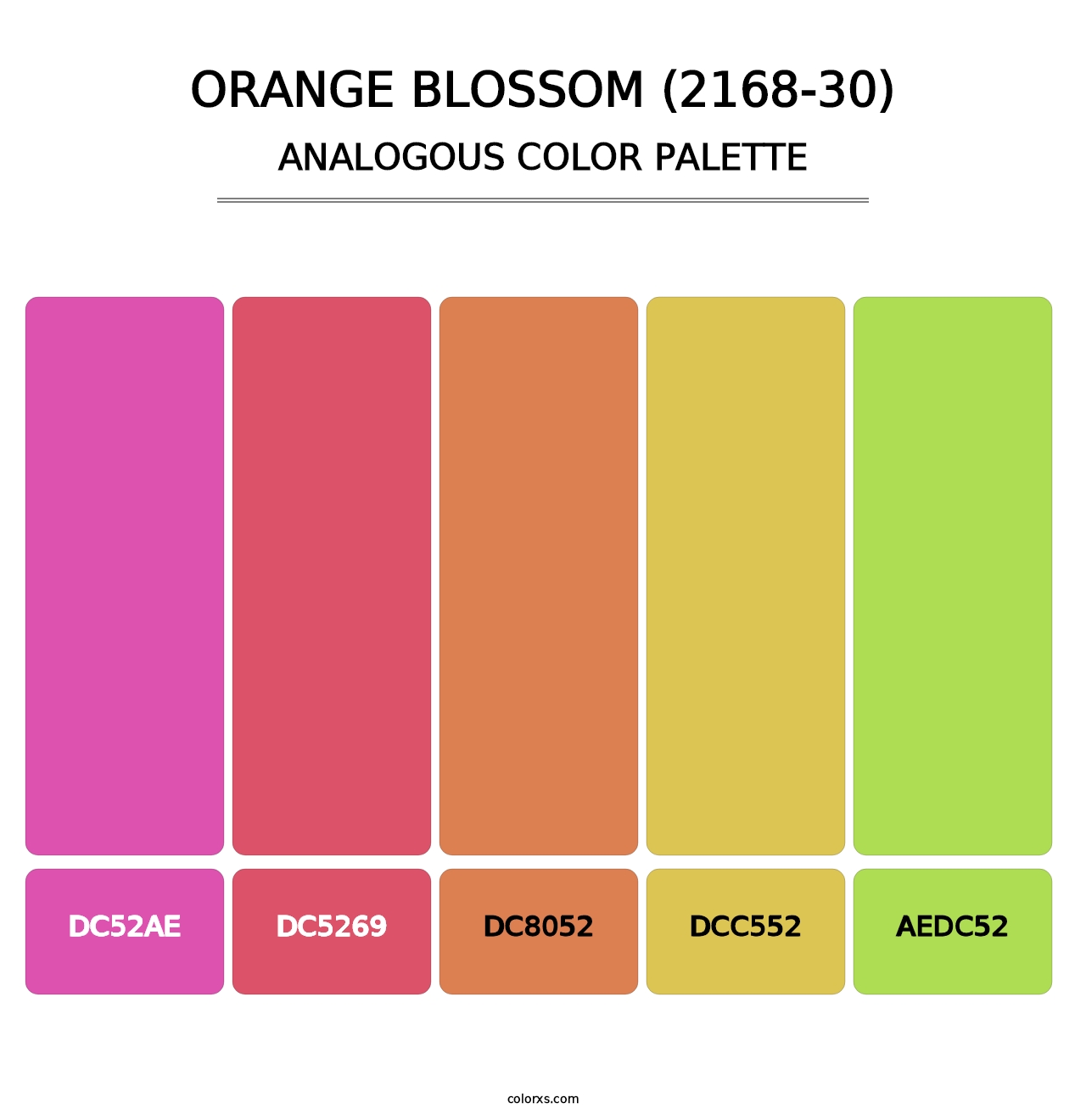 Orange Blossom (2168-30) - Analogous Color Palette