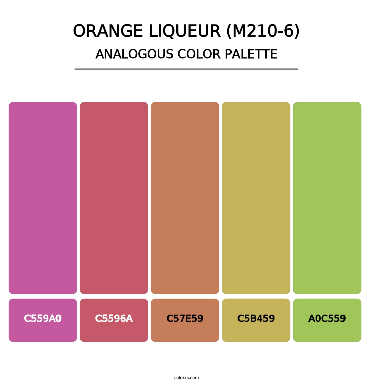 Orange Liqueur (M210-6) - Analogous Color Palette