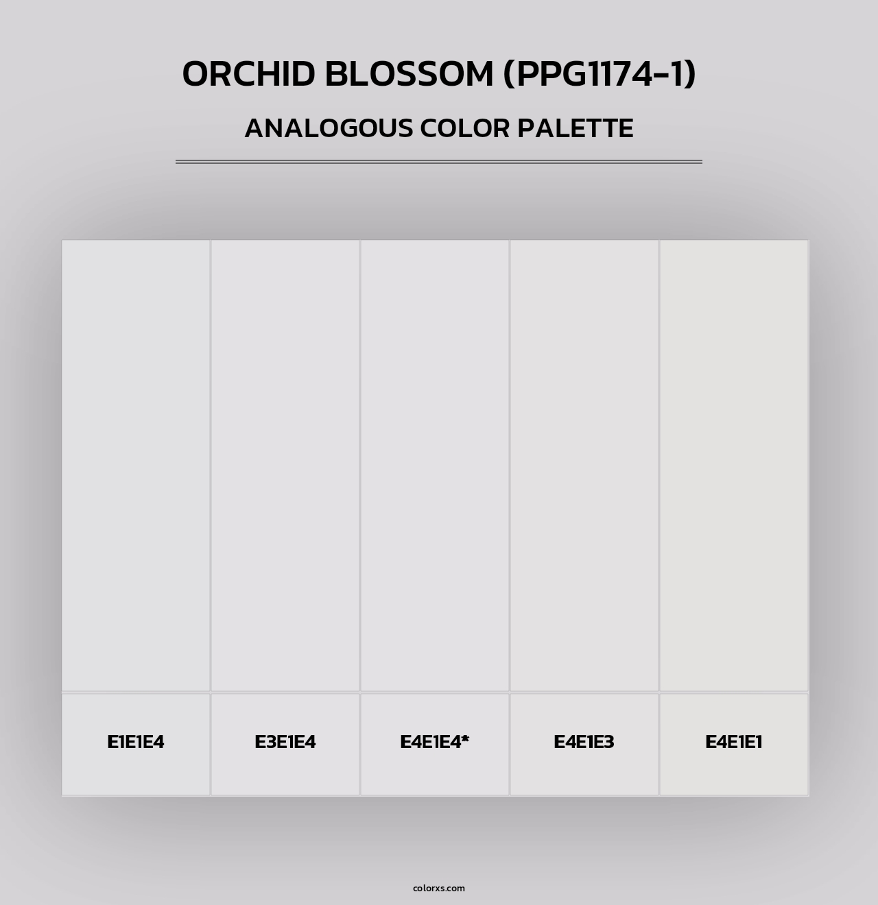 Orchid Blossom (PPG1174-1) - Analogous Color Palette