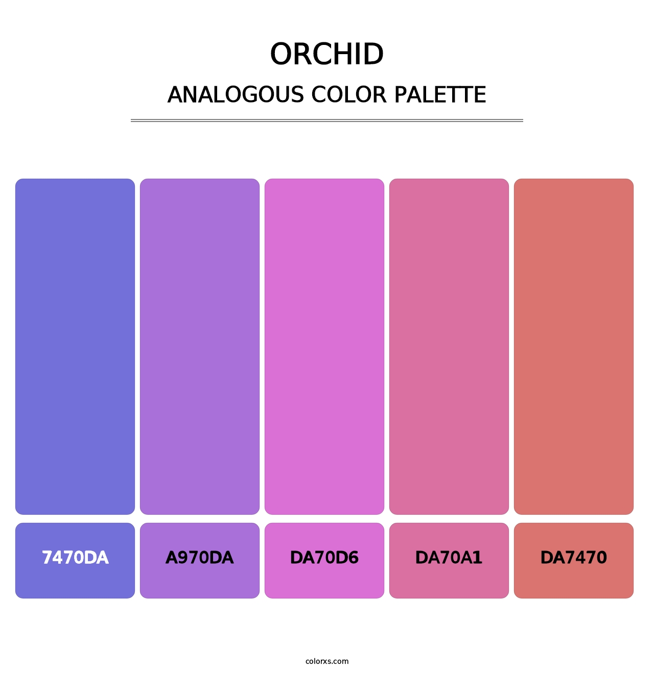 Orchid - Analogous Color Palette
