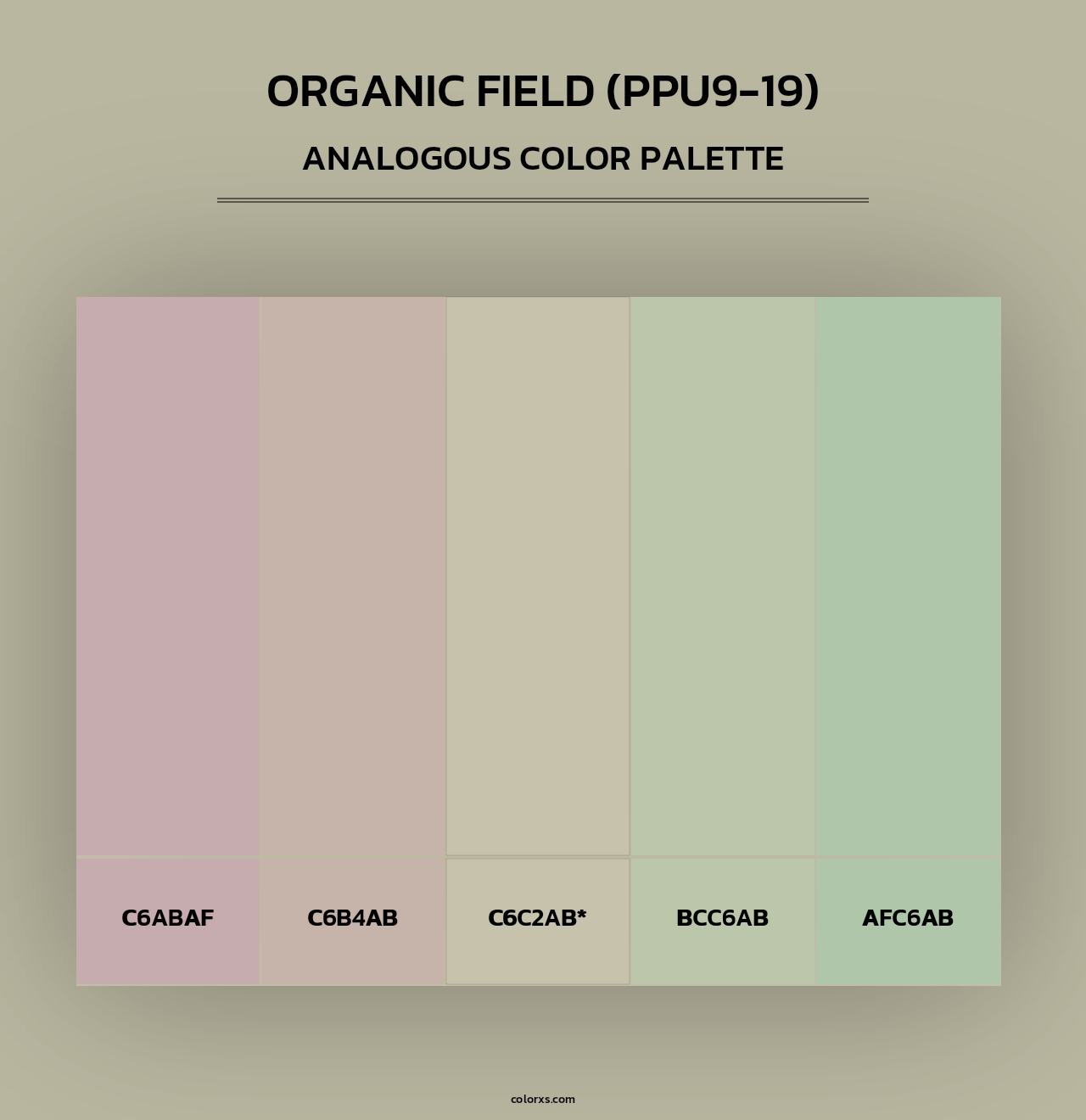 Organic Field (PPU9-19) - Analogous Color Palette
