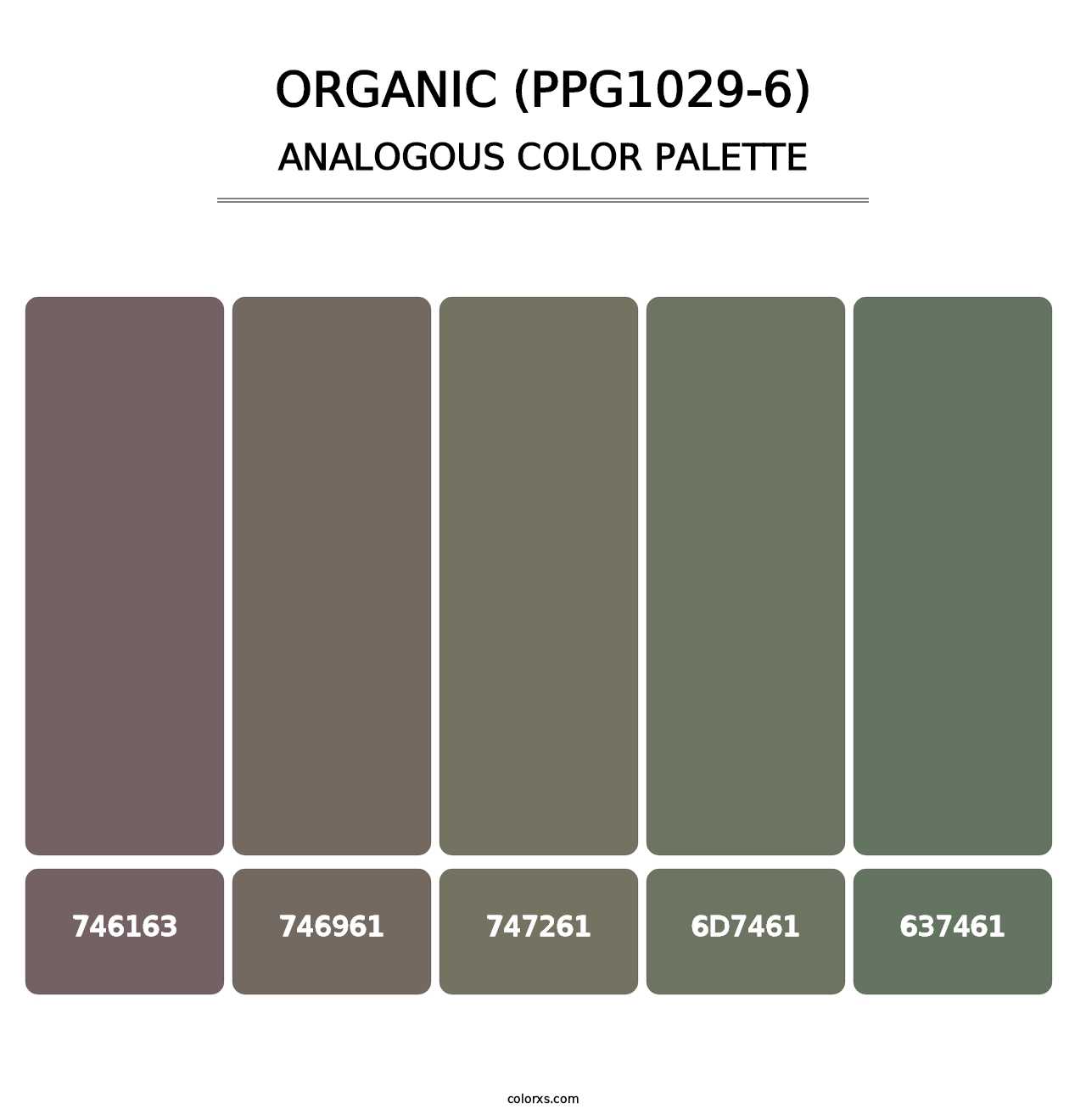 Organic (PPG1029-6) - Analogous Color Palette