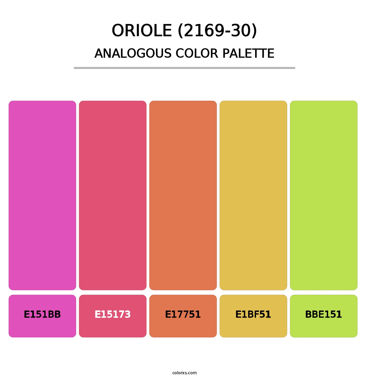 Oriole (2169-30) - Analogous Color Palette
