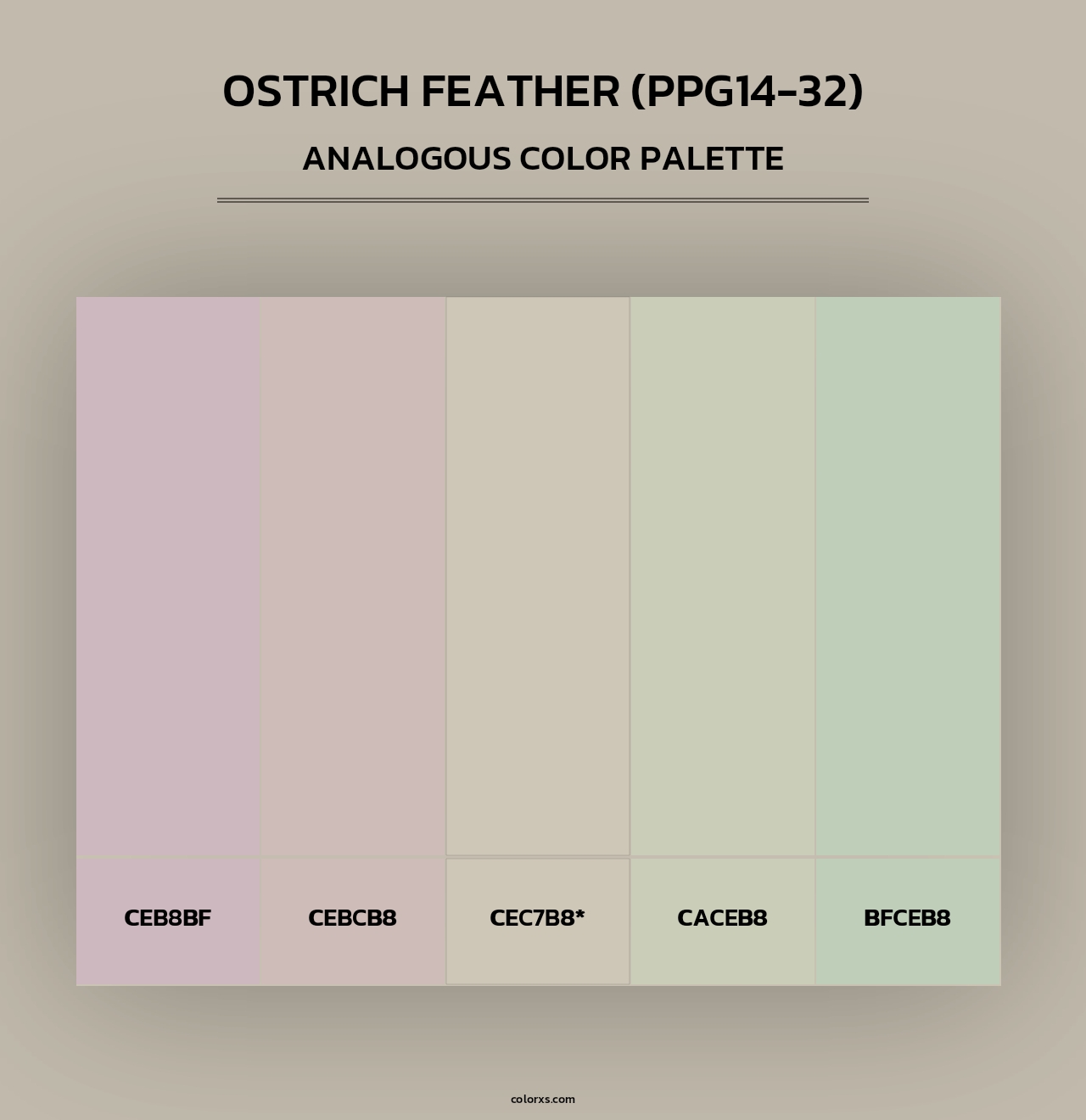 Ostrich Feather (PPG14-32) - Analogous Color Palette