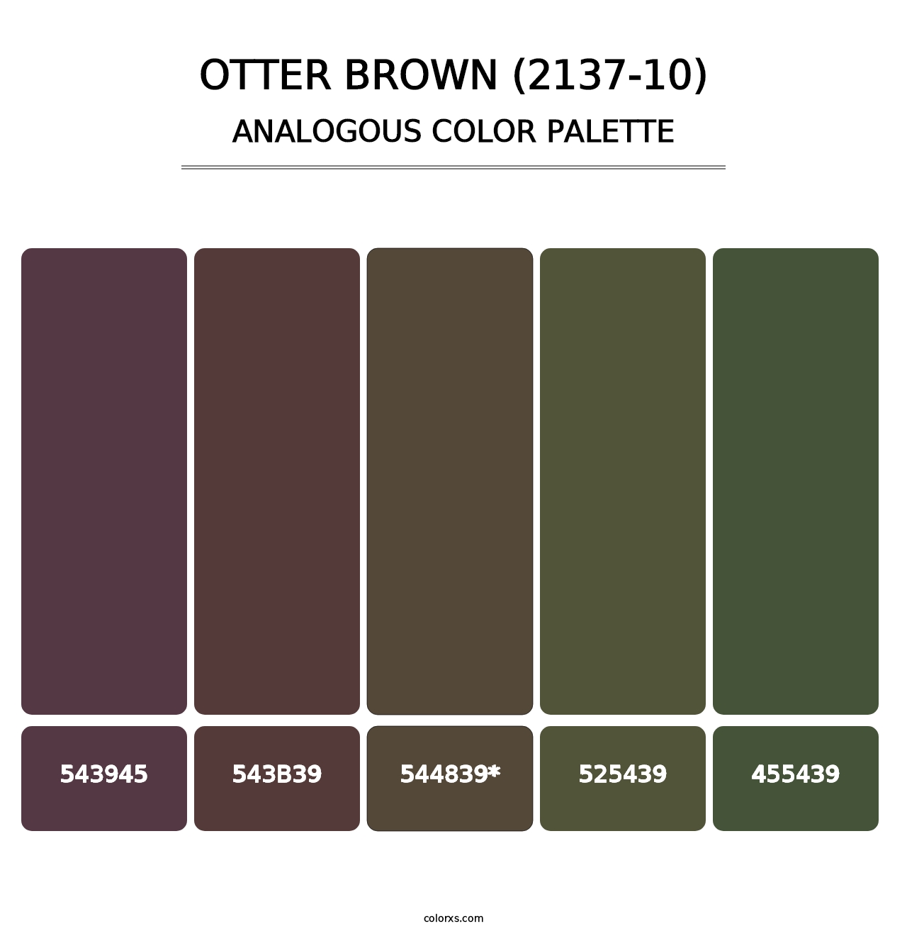 Otter Brown (2137-10) - Analogous Color Palette