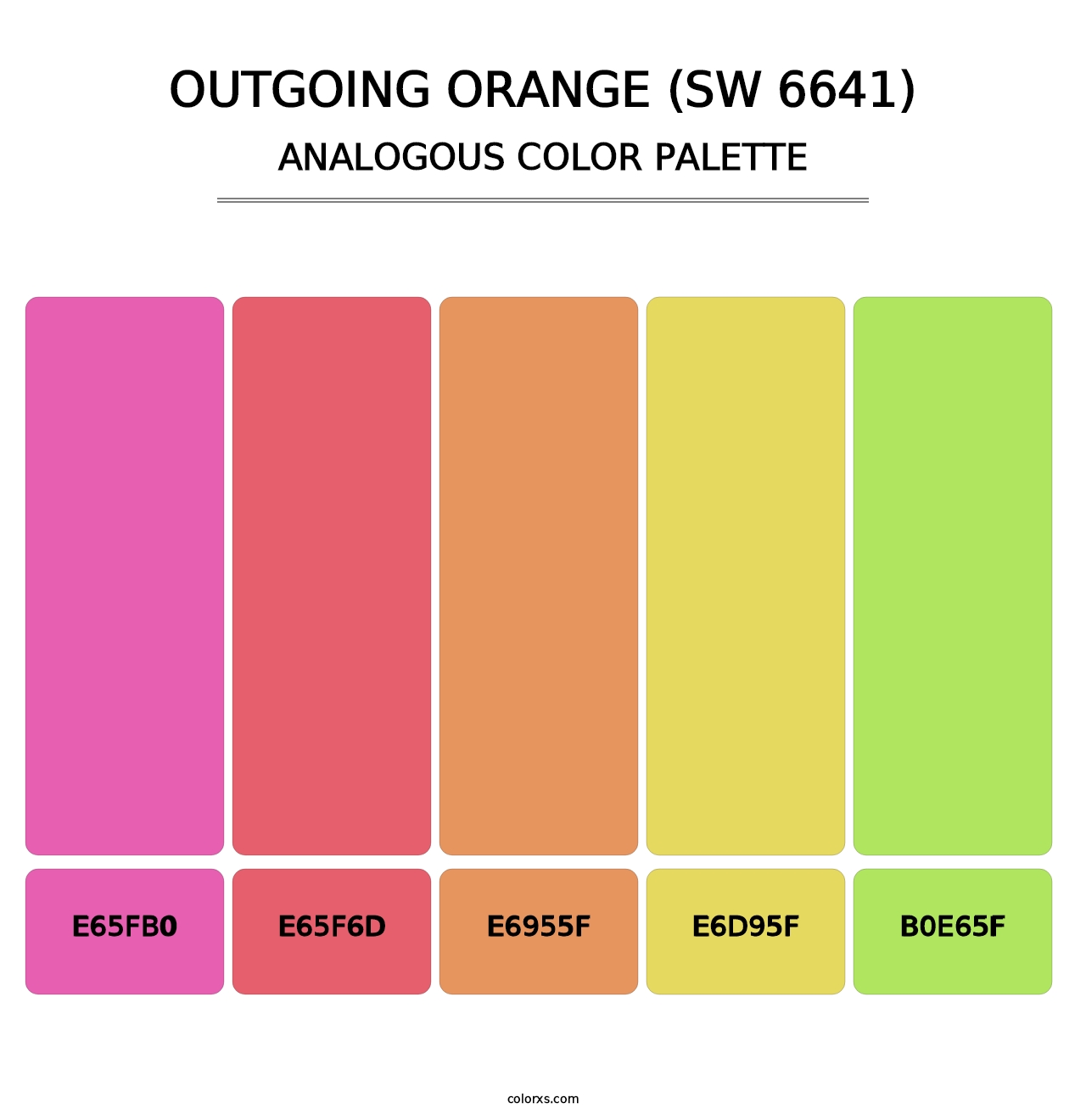 Outgoing Orange (SW 6641) - Analogous Color Palette