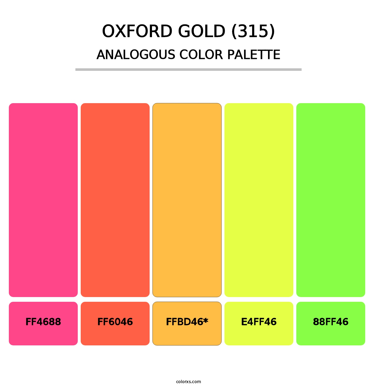 Oxford Gold (315) - Analogous Color Palette