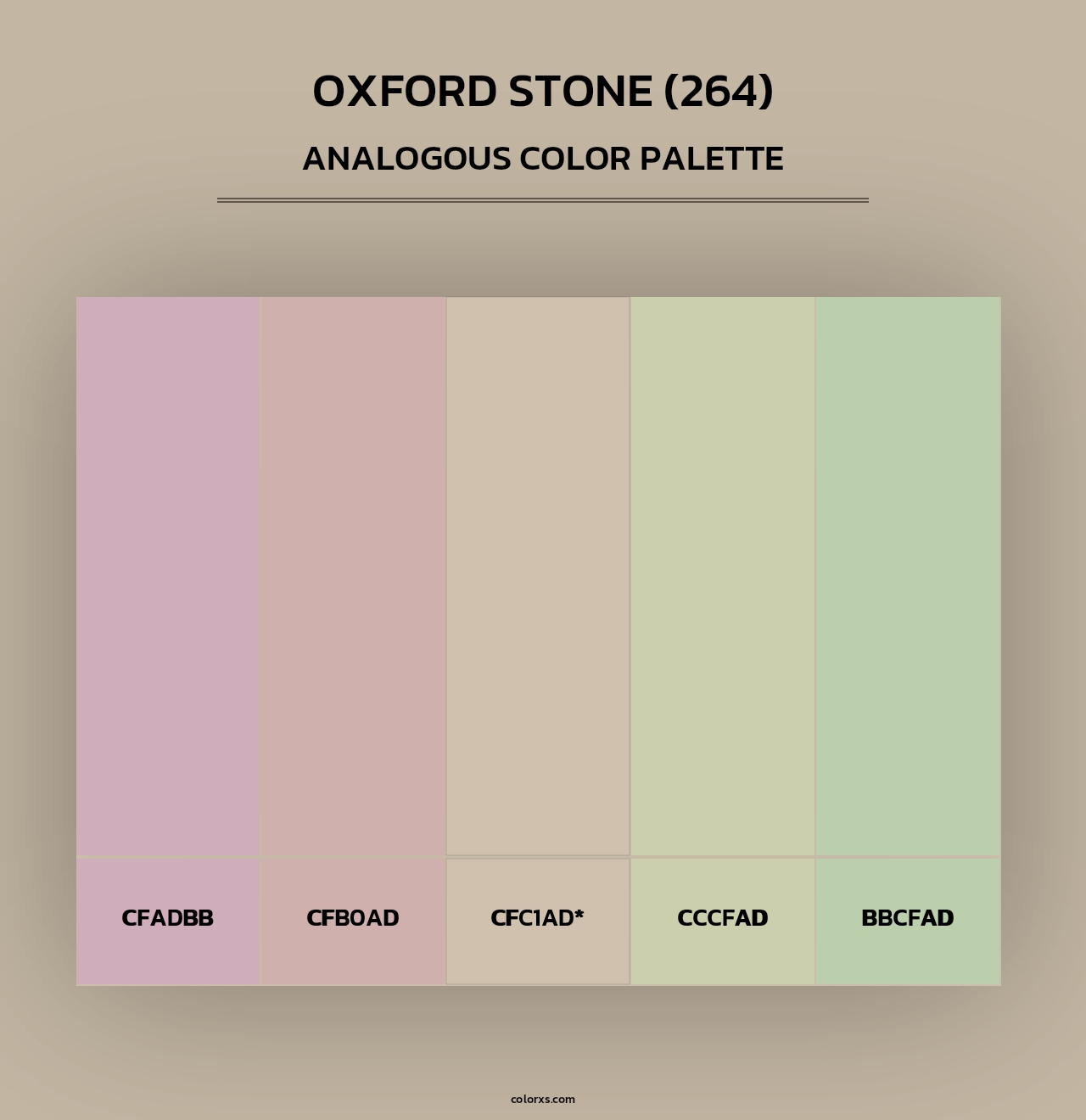 Oxford Stone (264) - Analogous Color Palette