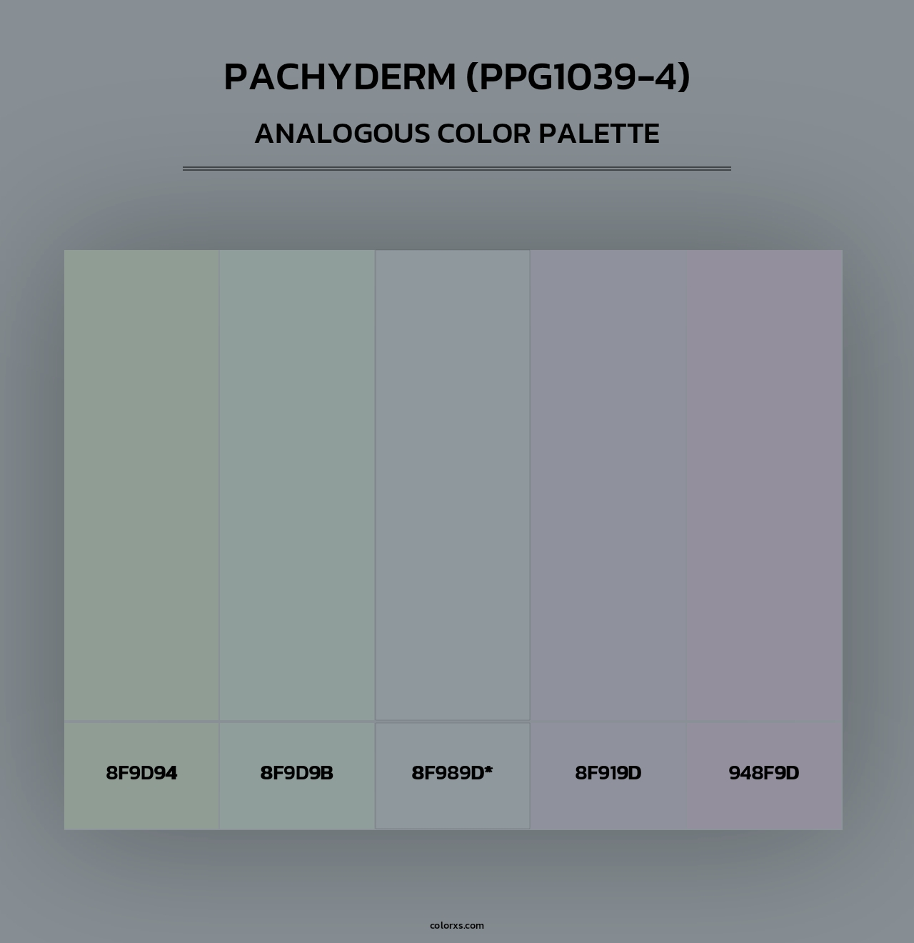 Pachyderm (PPG1039-4) - Analogous Color Palette