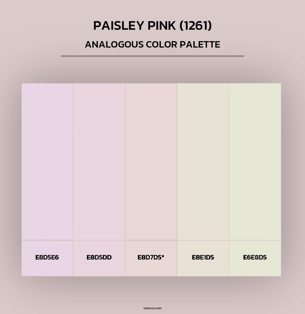 Paisley Pink (1261) - Analogous Color Palette
