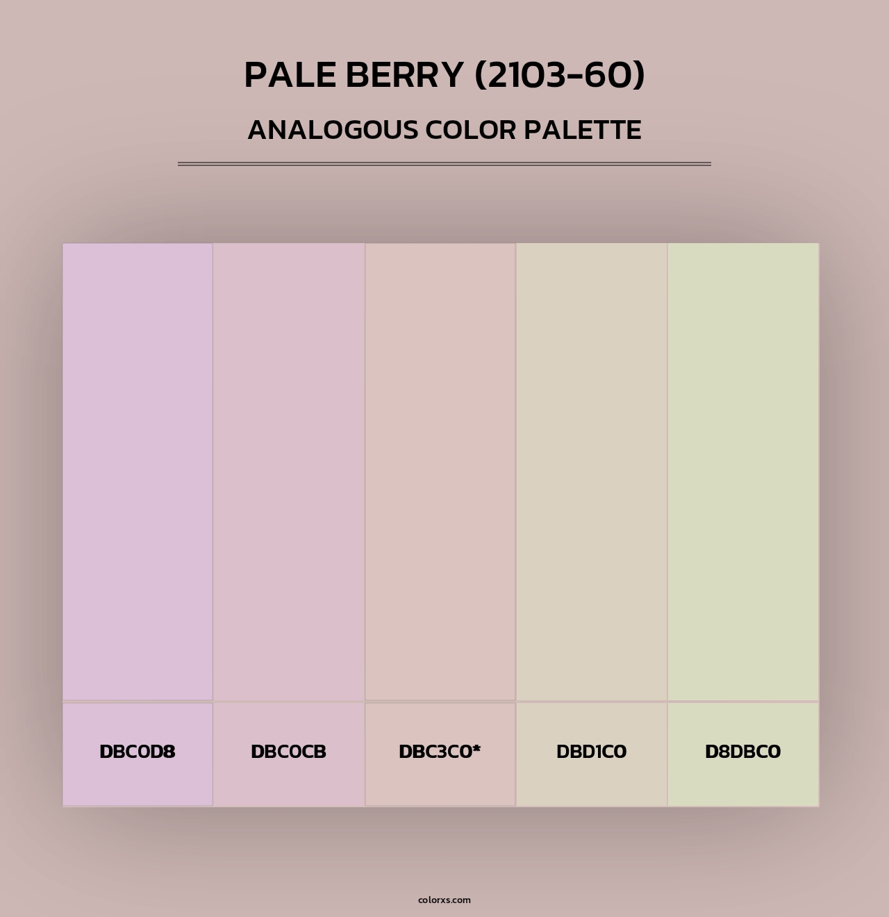 Pale Berry (2103-60) - Analogous Color Palette