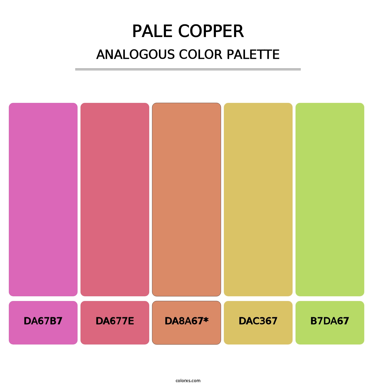 Pale Copper - Analogous Color Palette