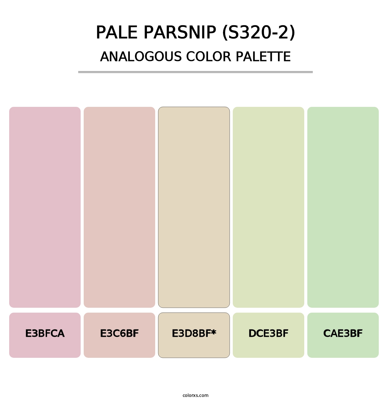 Pale Parsnip (S320-2) - Analogous Color Palette