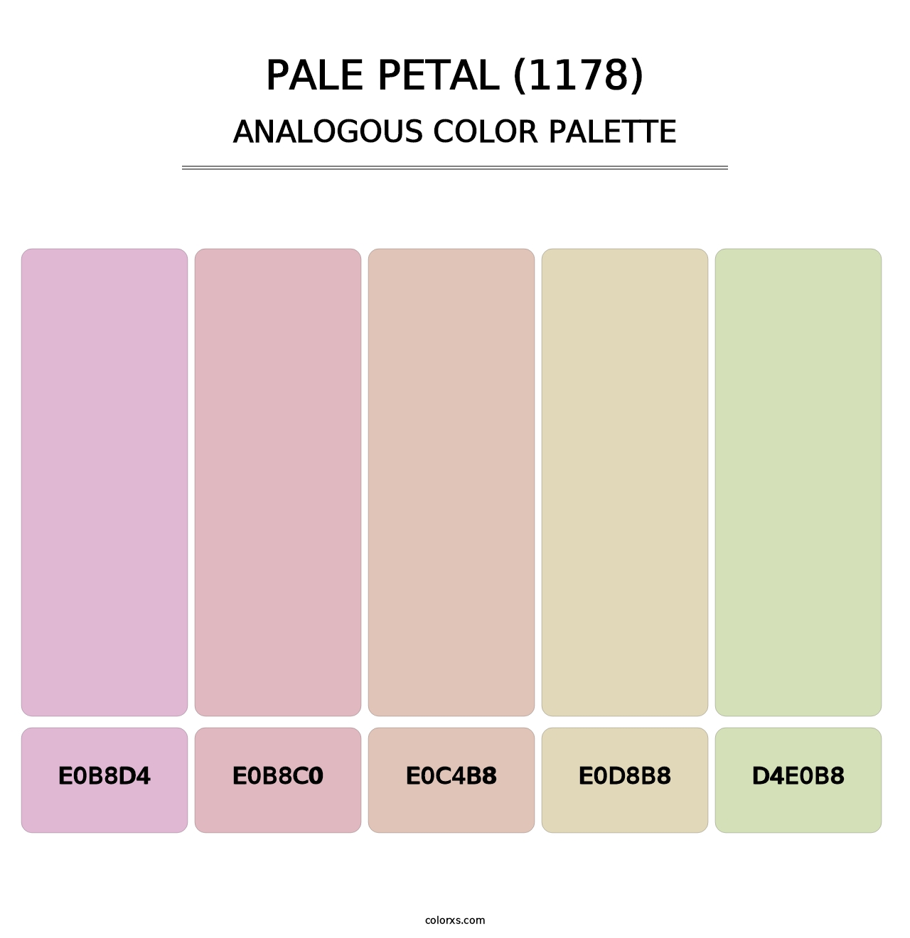 Pale Petal (1178) - Analogous Color Palette