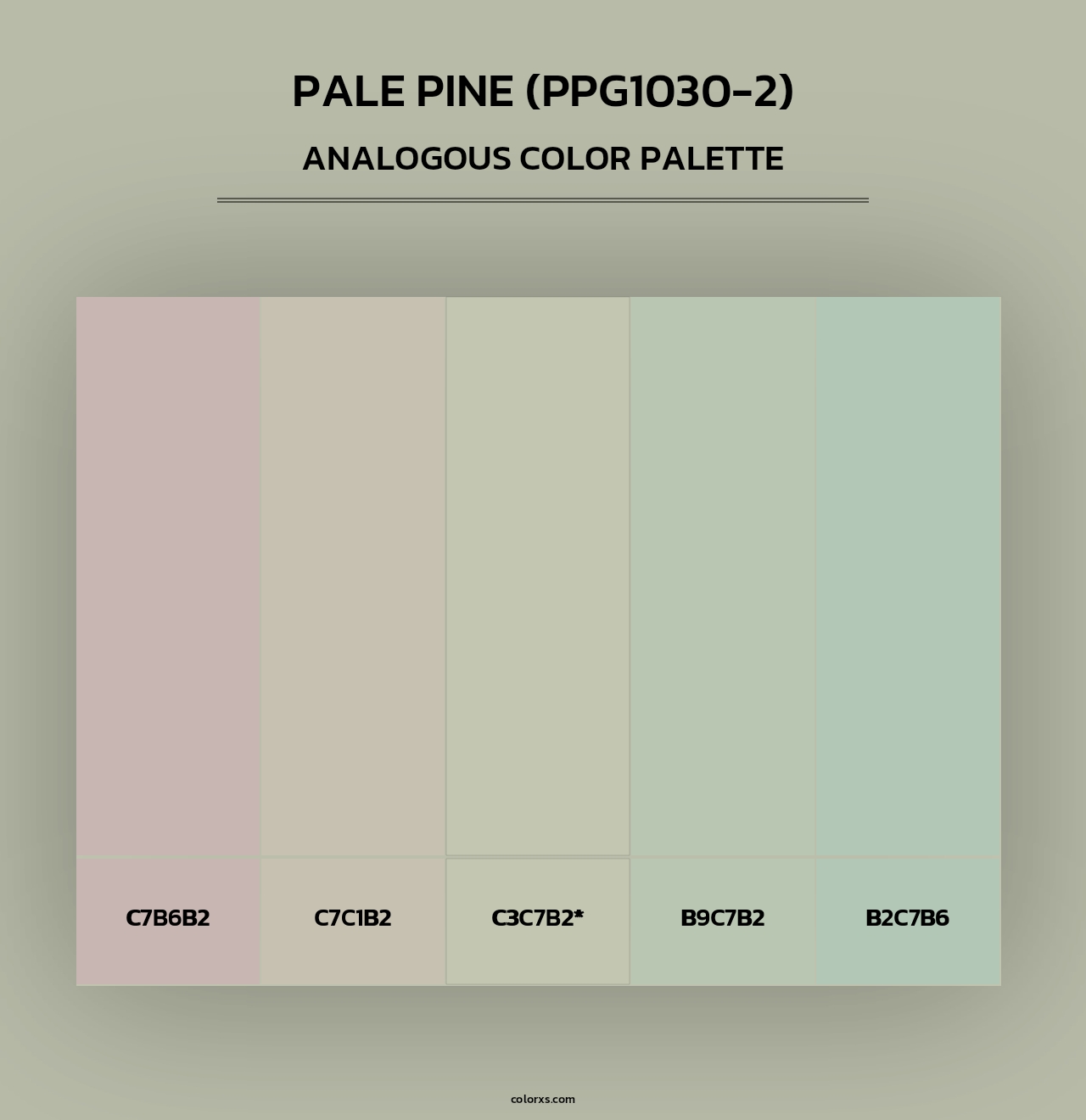Pale Pine (PPG1030-2) - Analogous Color Palette