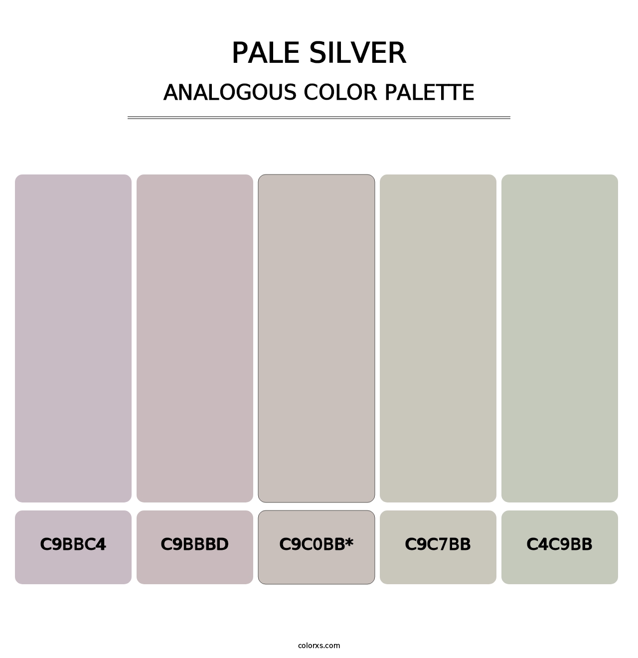 Pale Silver - Analogous Color Palette