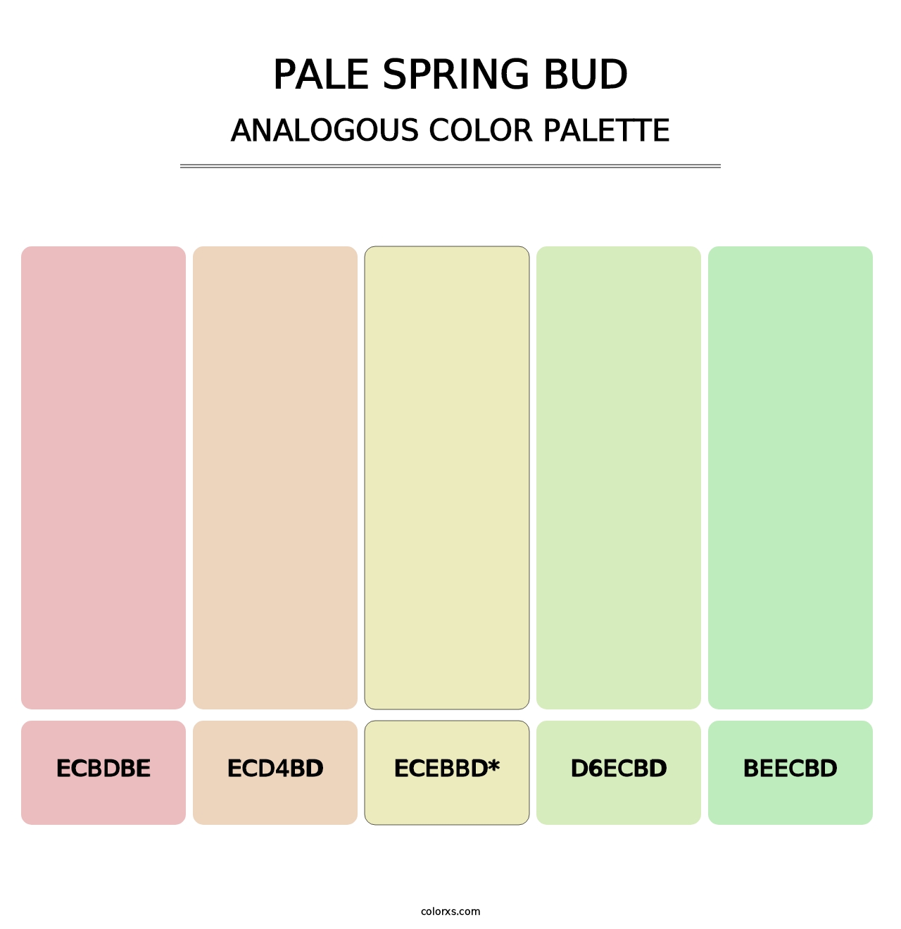 Pale Spring Bud - Analogous Color Palette