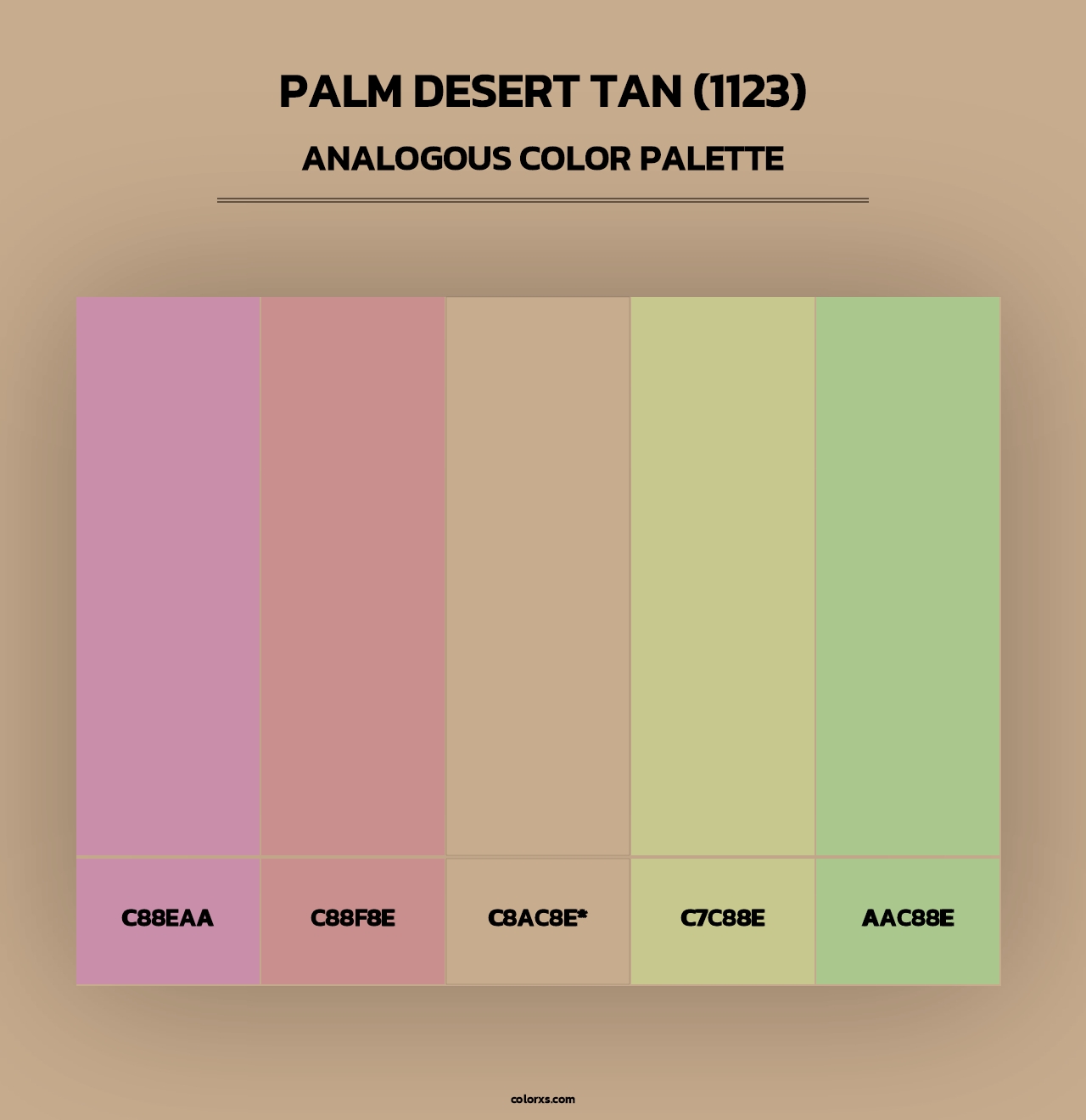 Palm Desert Tan (1123) - Analogous Color Palette