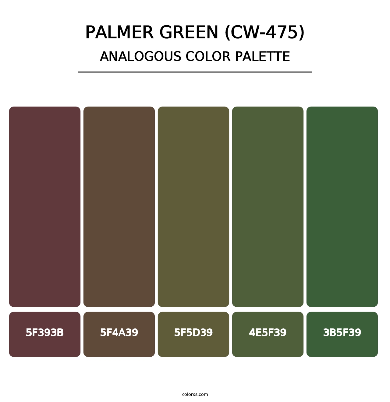 Palmer Green (CW-475) - Analogous Color Palette